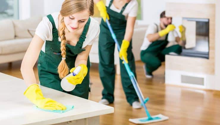 Weekly or Fortnightly Cleaning